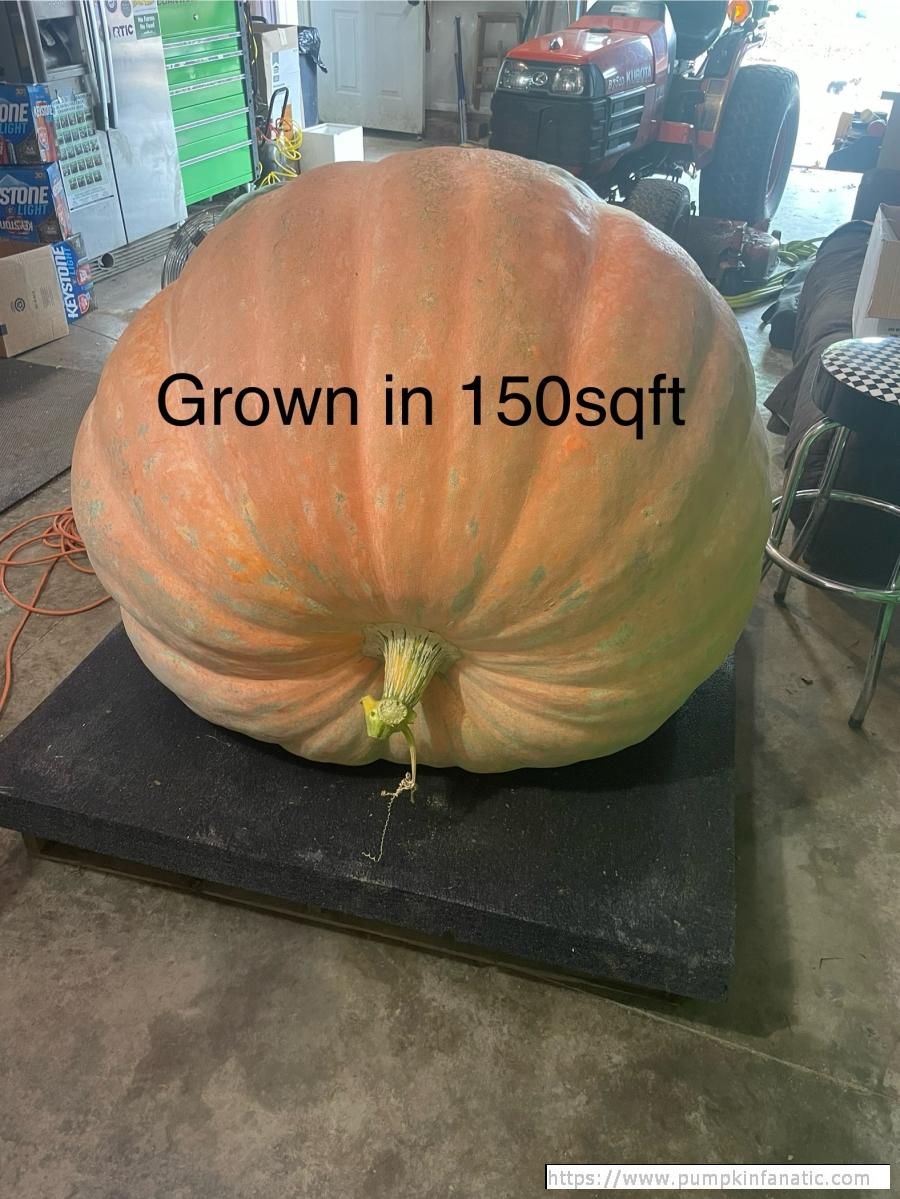 922.5 Kisamore 2024